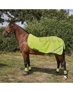 Elico Aurora Hi-Viz Exercise Sheet - 4'3"