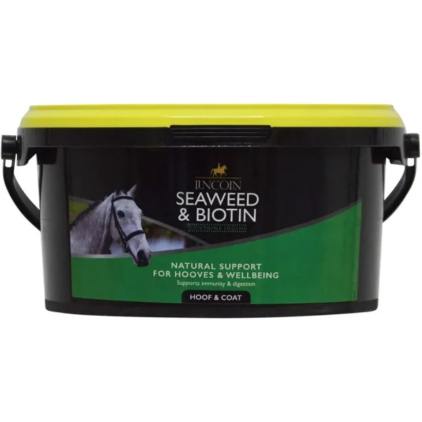 Lincoln Seaweed and Biotin 1Kg Tub