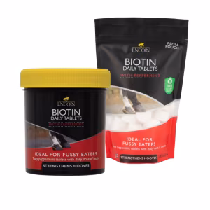 Lincoln Biotin Daily Tablets
