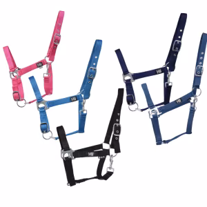Hy Equestrian Economy Plus Head Collar