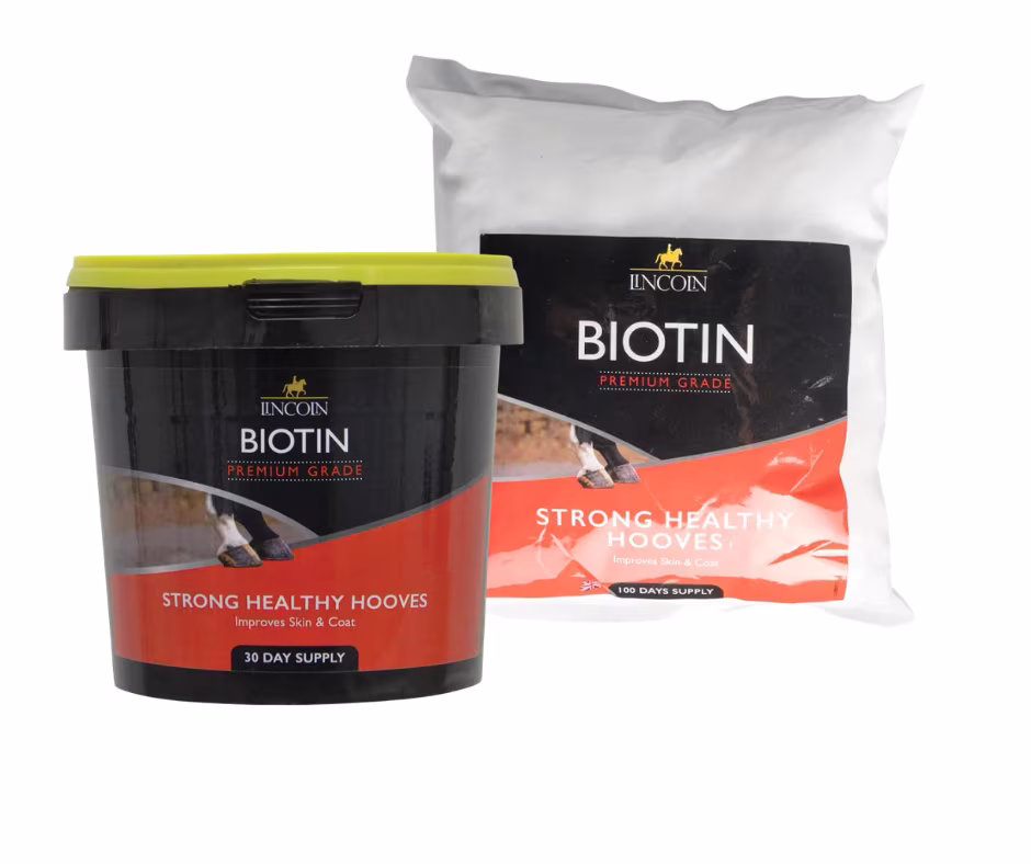 Lincoln Biotin