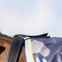 StormX Original Come Rain or Shine Combi Fly Rug - Image 3
