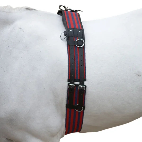 Hy Equestrian Training Roller