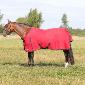 HyCONIC 200g Turnout Rug