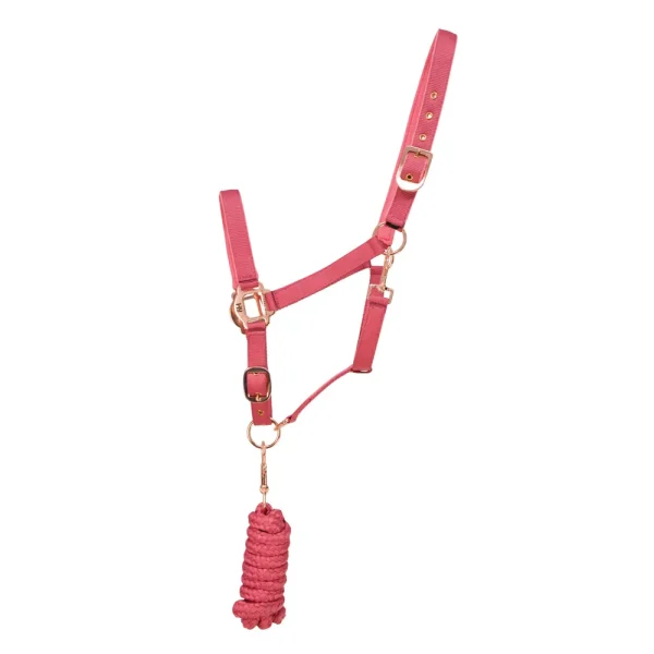 Hy Equestrian Rose Gold Head Collar & Lead Rope - Blush Pink/Rose Gold