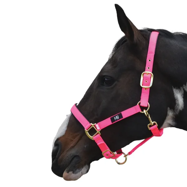 Hy Equestrian Grand Prix Head Collar - Hot Pink