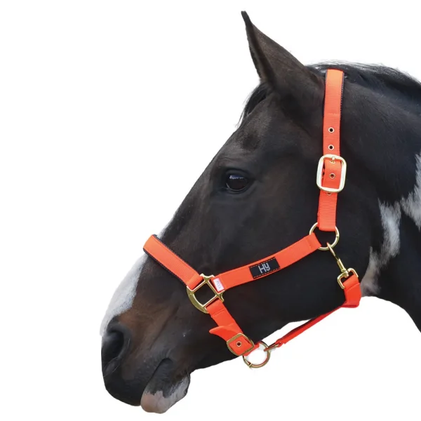 Hy Equestrian Grand Prix Head Collar - Hot Orange