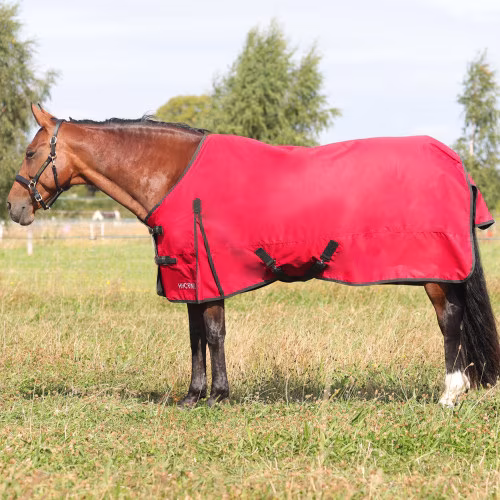 HyCONIC 50g Turnout Rug