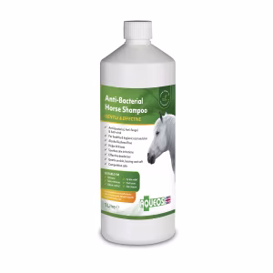 Aqueos Anti-Bacterial Horse Shampoo 1Ltr