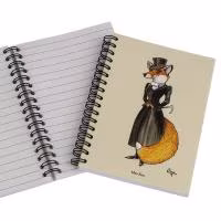 Bryn Parry Mrs Fox Notebook