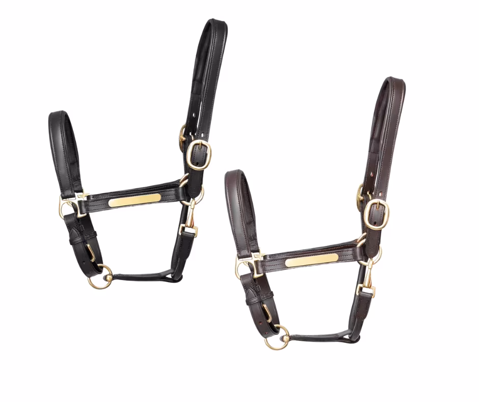Hy Equestrian Leather Headcollar with Nameplate