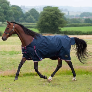 Gallop Trojan Duraproof 50g 5-Point Standard Neck Turnout Rug - Navy