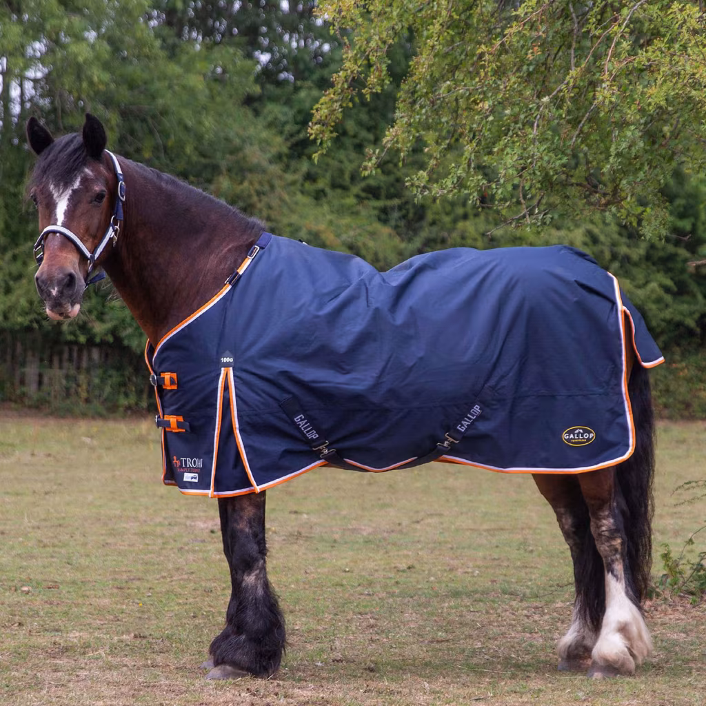 Gallop Trojan Duraproof 100g Standard Turnout Rug - Navy