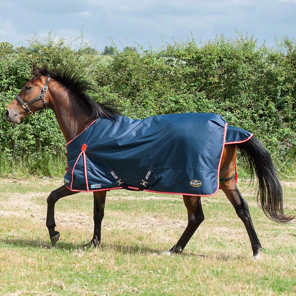 Gallop Trojan Duraproof 200g Turnout Rug - Navy