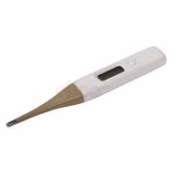 Elico Digital Thermometer