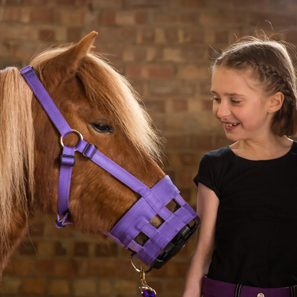 Hy Equestrian Muzzle - Purple - Image 2