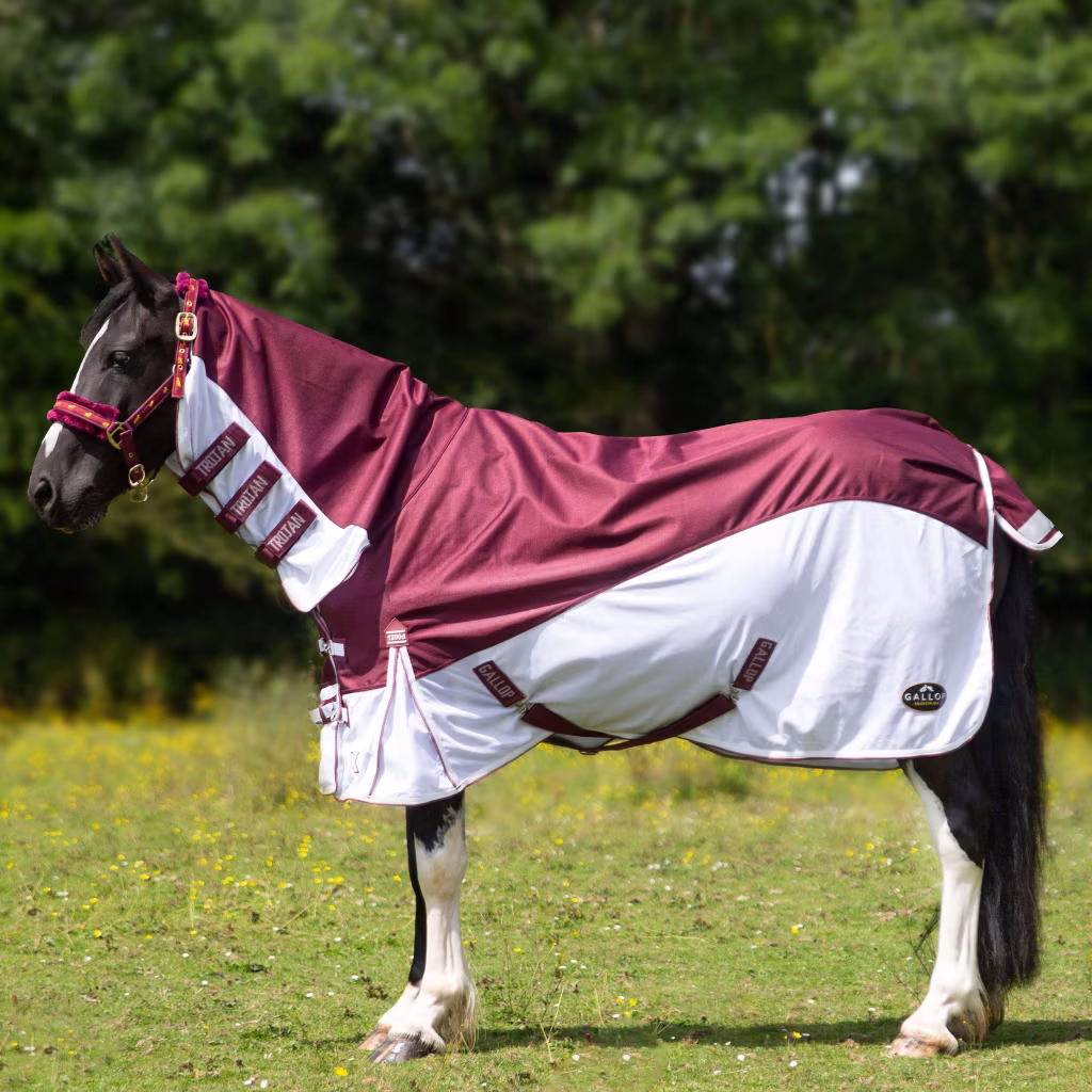 Gallop Trojan Xtra Duraproof Hybrid Combo Fly Rug - Burgundy/White