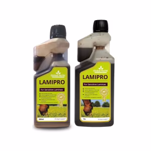 Global Herbs LamiPro Liquid