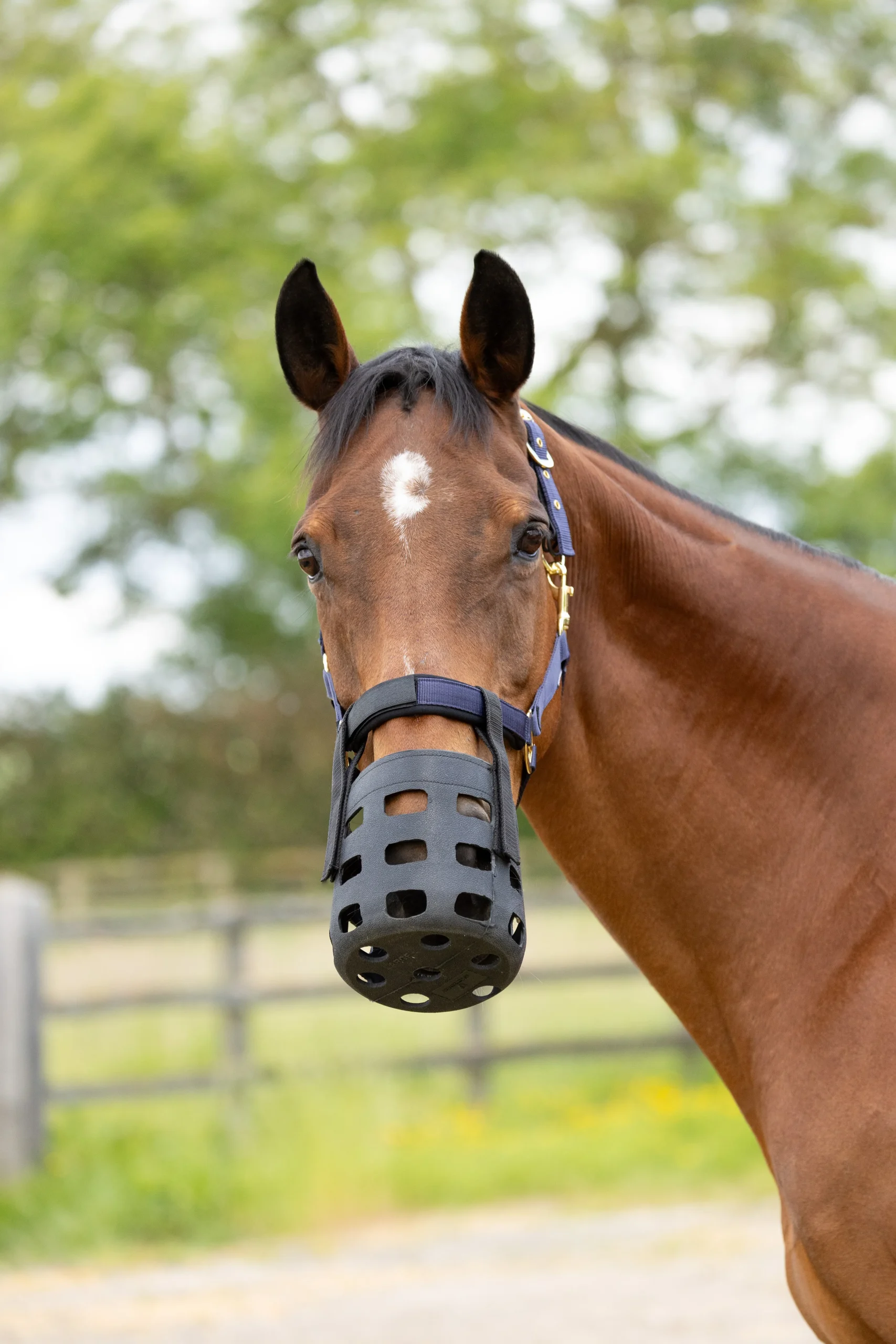 Hy Equestrian Rubber Muzzle - Image 4