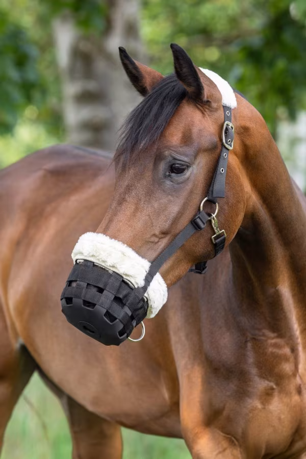 Covalliero Teddy Fleece Muzzle - Image 2