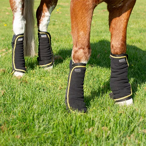 Supreme Products Royal Occasion Boots - Image 2
