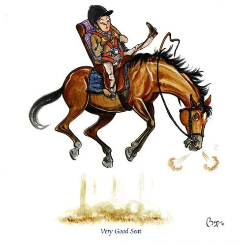 Bryn Parry Greeting Card - Very Good Seat