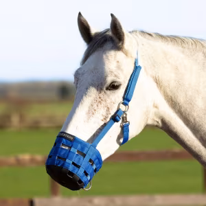 Hy Equestrian Muzzle - Blue