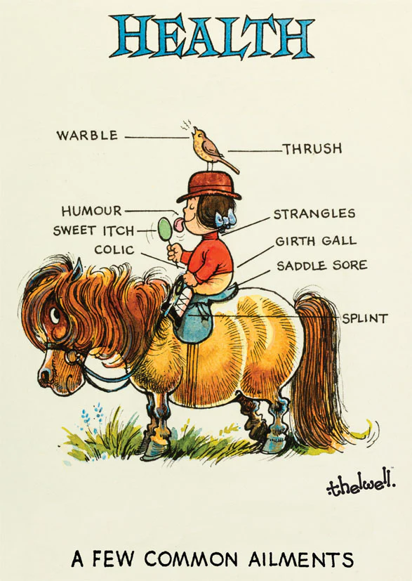 Thelwell Cartoon Greeting Card - Health
