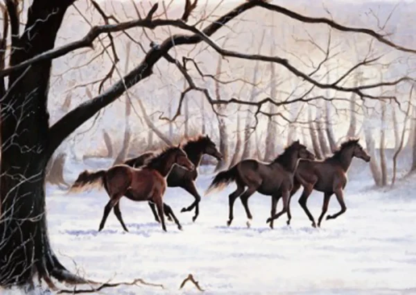 Caroline Cook Greetings Card - Winter Gallop
