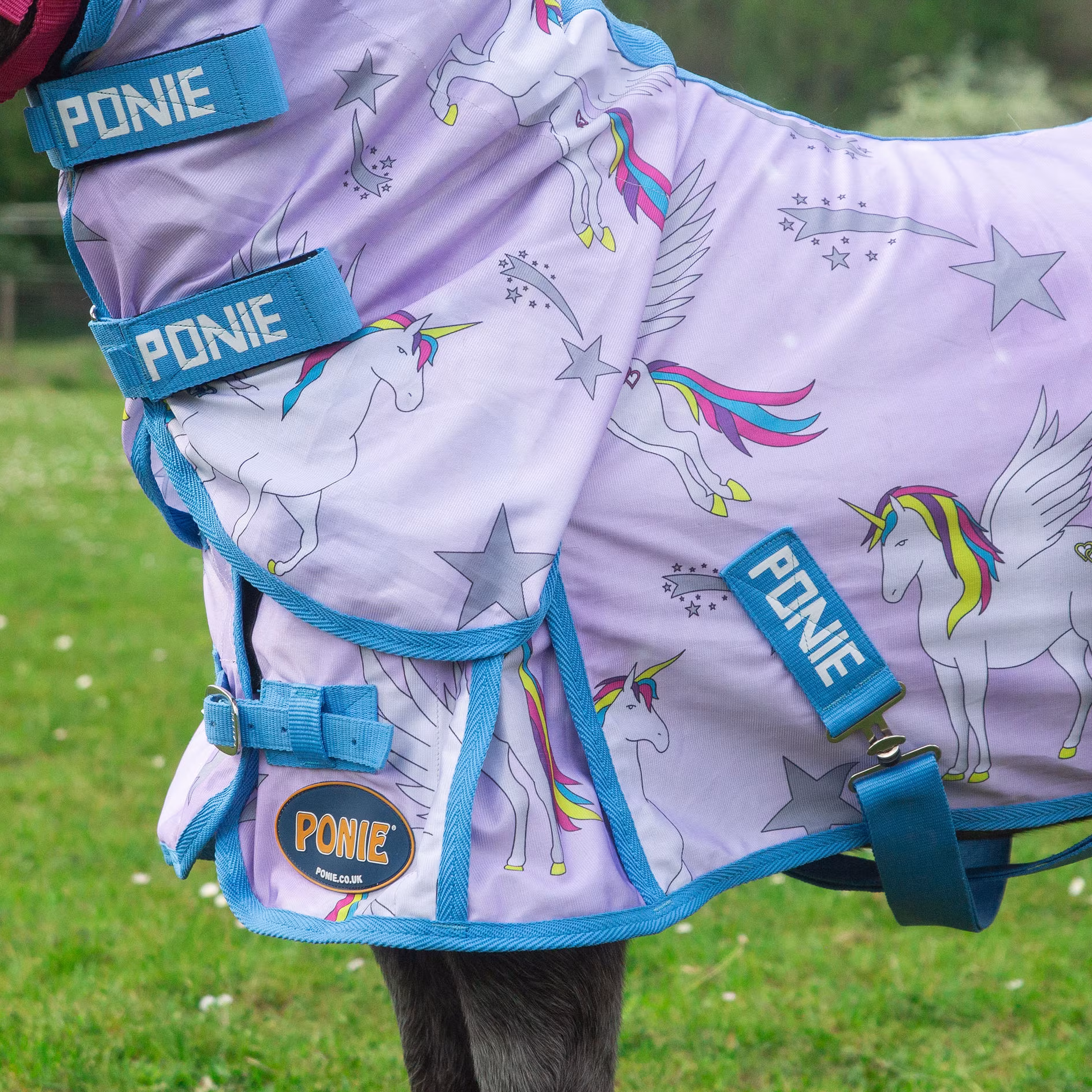 Gallop Ponie Combo Mesh Fly Rug - Pegacorn - Image 2