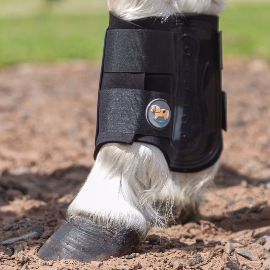 Gallop PONIE GP Brushing Boots - Black