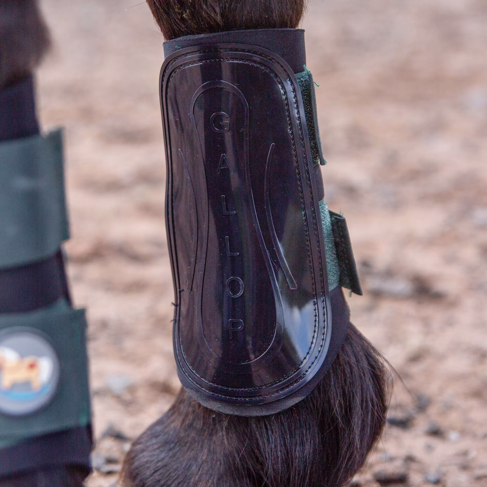Gallop PONIE GP Brushing Boots - Black/Green - Image 2