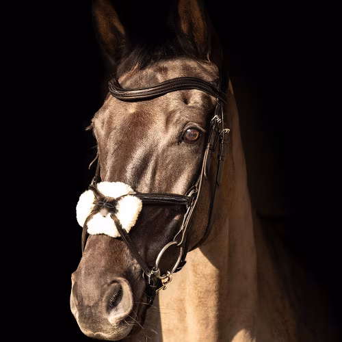 ProPresicce Pelle Crank Leather Bridle - Brown/Silver - Image 2