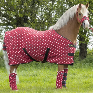 Supreme Products Dotty Fleece Rug - Rich Raspberry