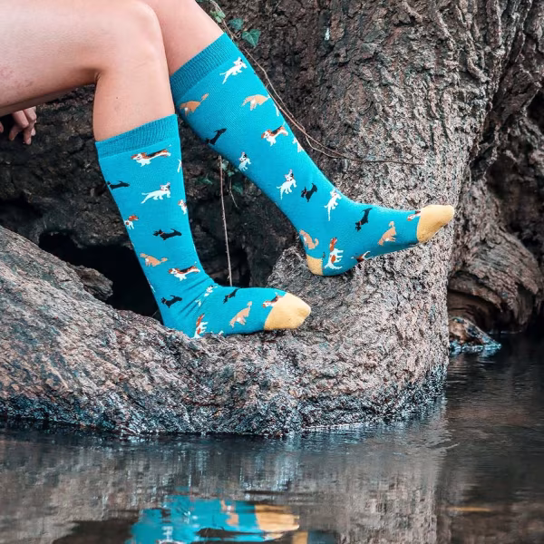 Bartleby Funky Welly Socks  - Doggy Diva