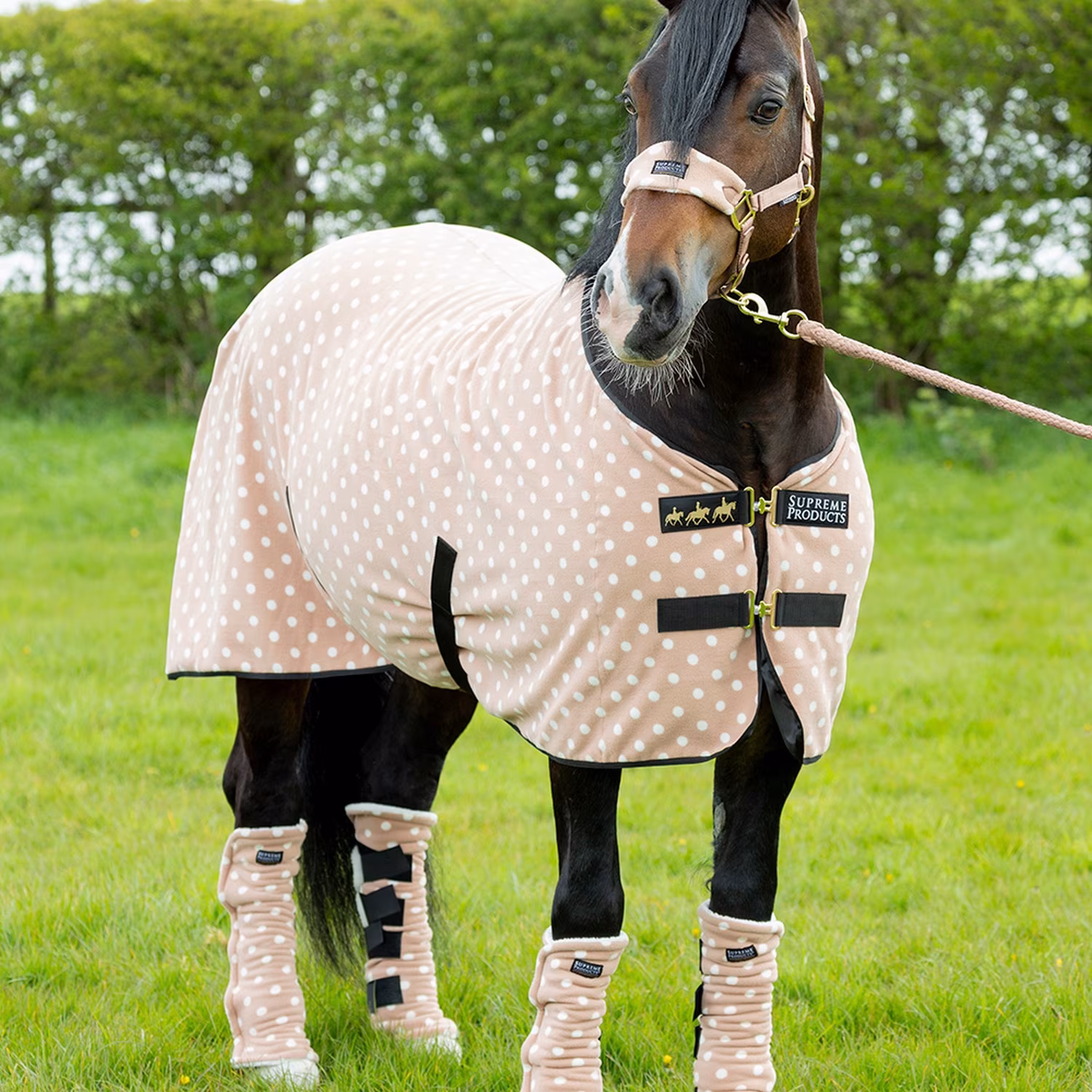 Supreme Products Dotty Fleece Rug - Luxurious Latte