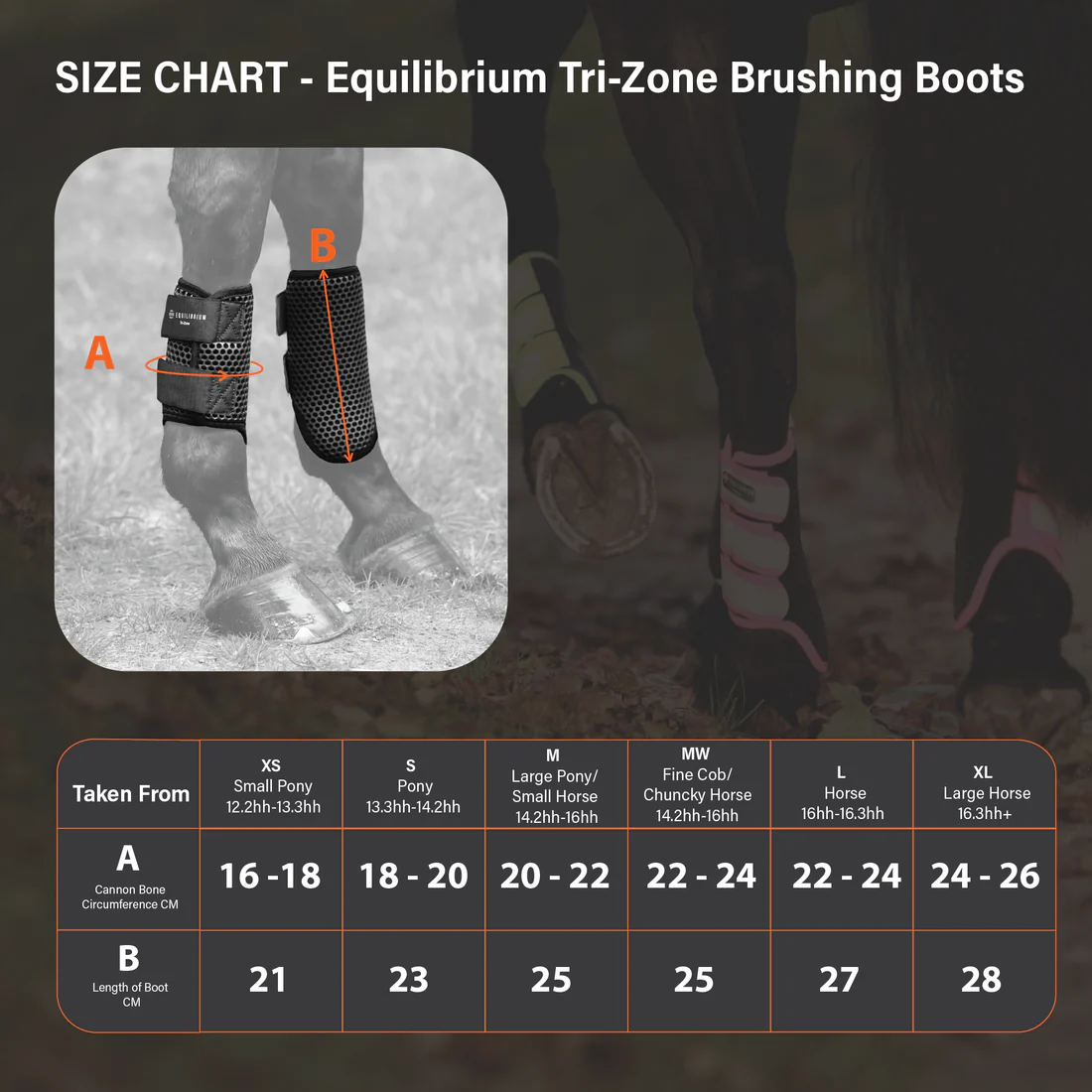 Equilibrium Tri-Zone Brushing Boots - Black - Image 2