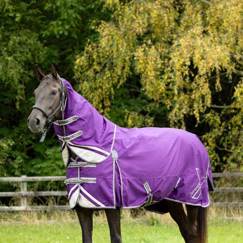 DefenceX Shield 100g Turnout Rug with Detachable Neck - Purple - Image 7
