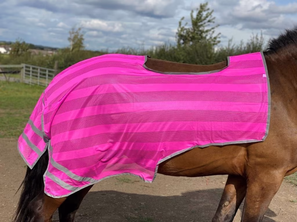 Firefoot Reflective Exercise Sheet - Pink