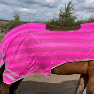 Firefoot Reflective Exercise Sheet - Pink