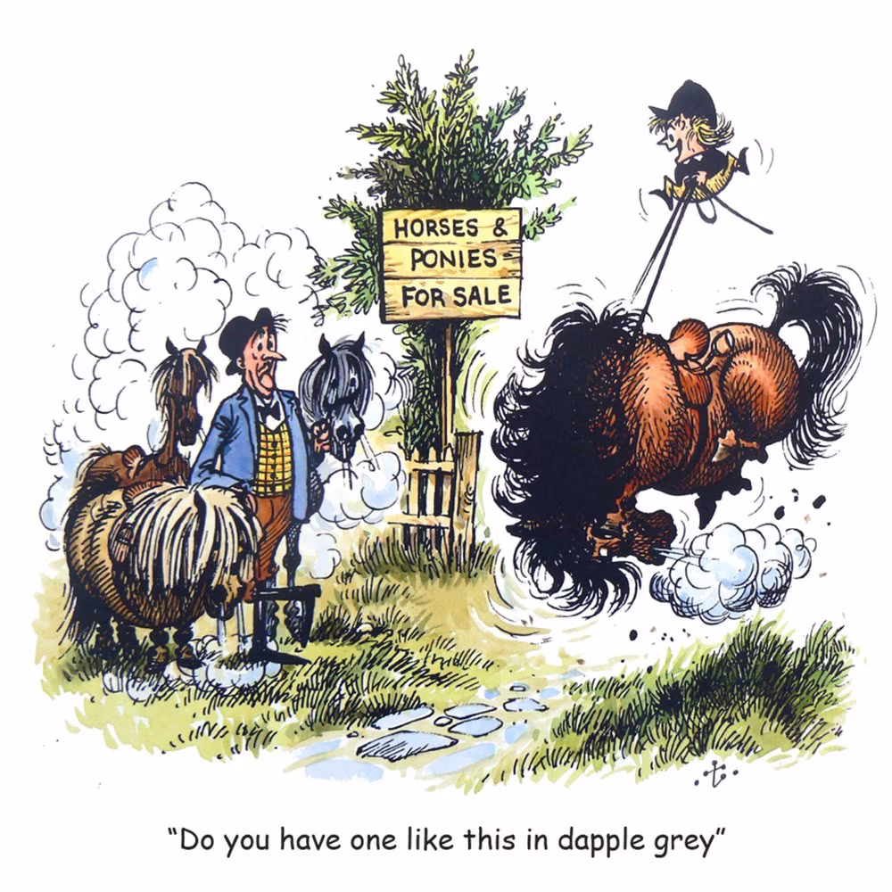 Thelwell Cartoon Greeting Card - Dapple Grey