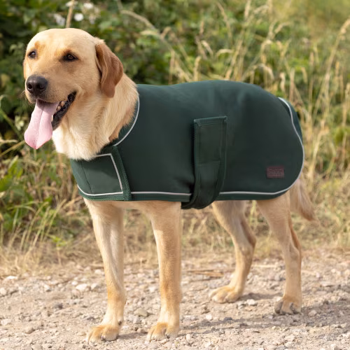 Benji & Flo Luxe Soft Dog Coat - Forest Green