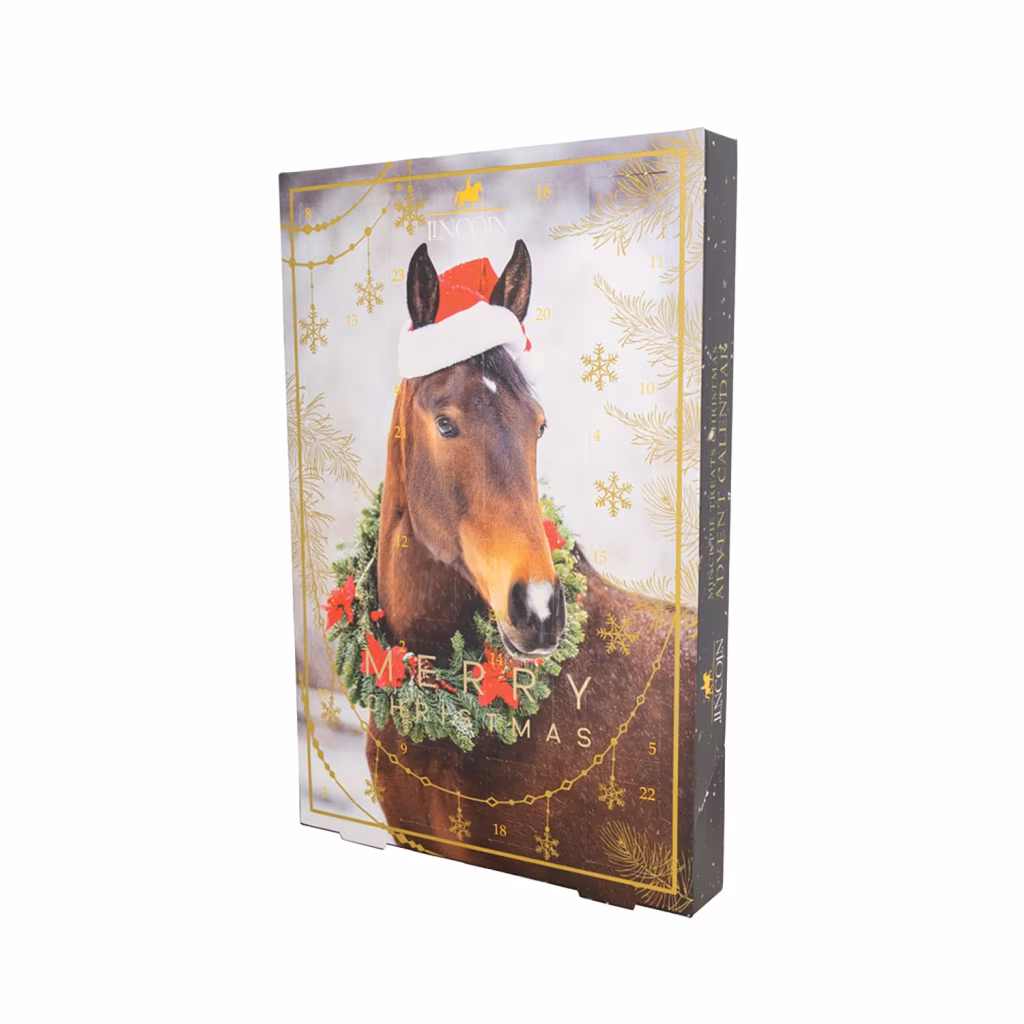 Lincoln Mince Pie Treats Christmas Advent Calendar