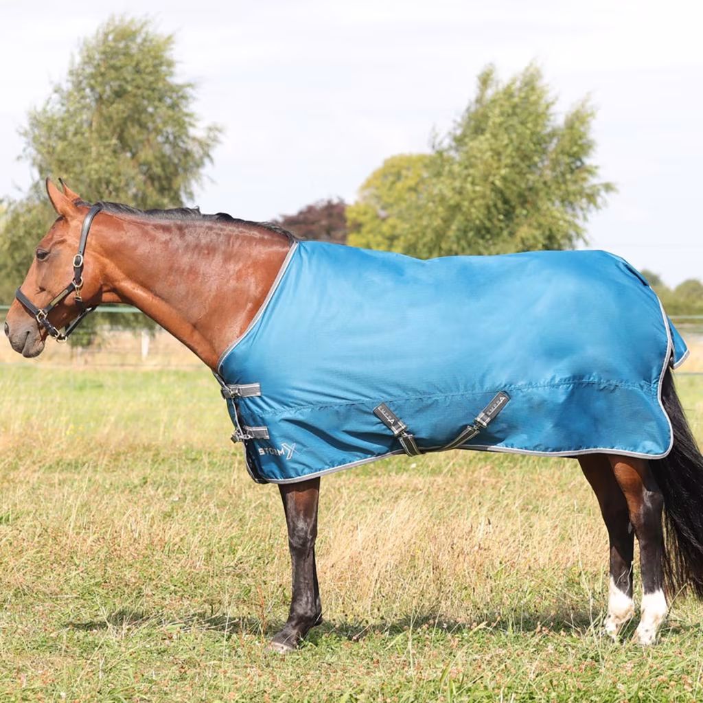 StormX Empra 50g Turnout Rug - Teal